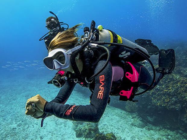 DAILY DIVING