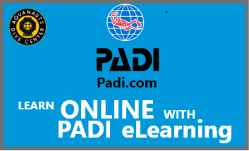  Padi E-Learning
