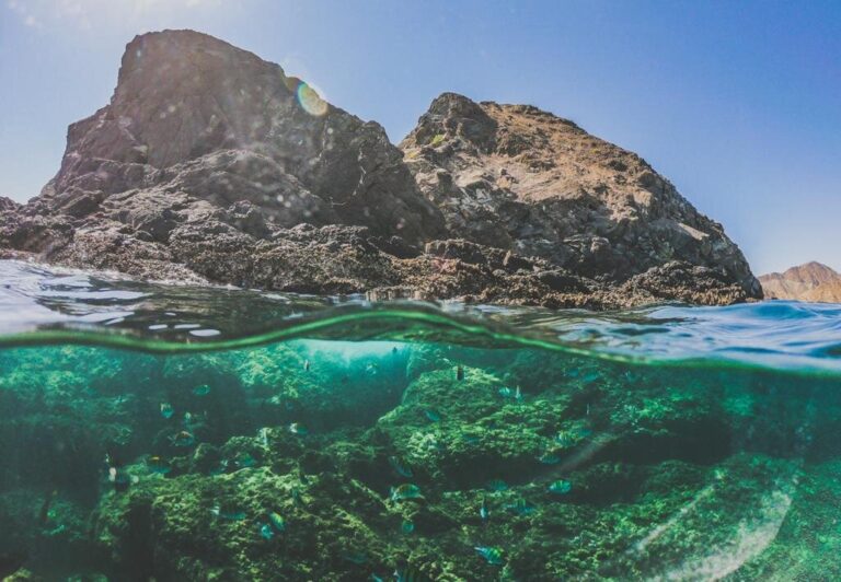 Snorkelling trips at Snoopy Island